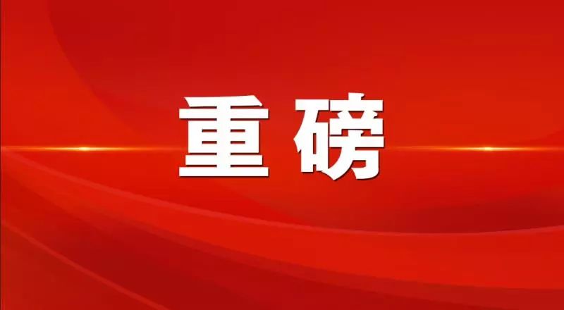 新澳精准资料免费提供，第510期的深入释义与落实解释