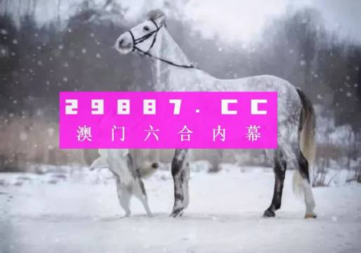 澳门一肖一码，揭秘精准预测与学习的释义解释落实之道