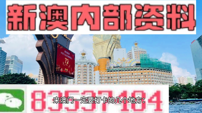 新澳门王中王战术释义与落实策略，迈向成功的指引（2024年免费版）