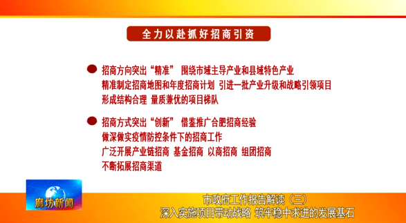 新澳门正版精准免费大全，释义解释与落实策略探讨