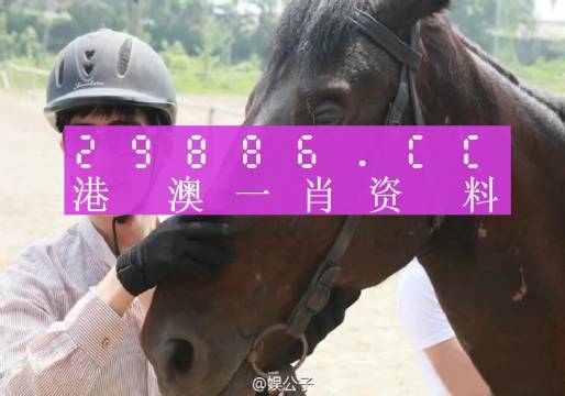 澳门一肖一码一必中一肖，方法释义、解释与落实