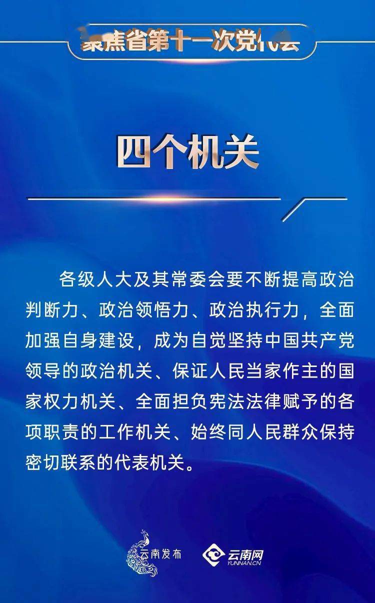 赋能释义解释落实，聚焦澳门特马开奖结果及未来展望