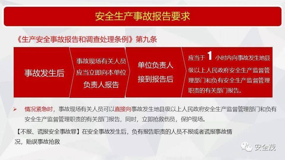 探索2024年正版管家婆最新版本，方案释义、解释与落实