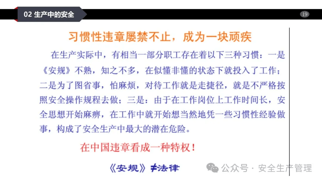 一肖一码一一肖一子，安全释义、解释与落实