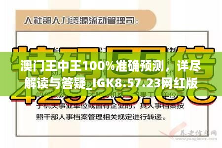 澳门王中王与环境释义解释落实，深度探讨与实践路径