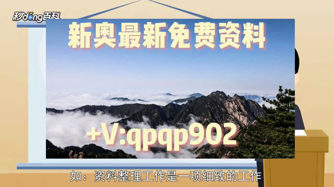 2024年正版资料免费大全一肖，跨国释义解释落实的新时代篇章