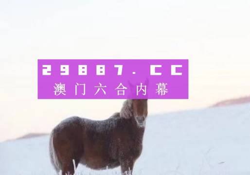 信息咨询服务 第23页