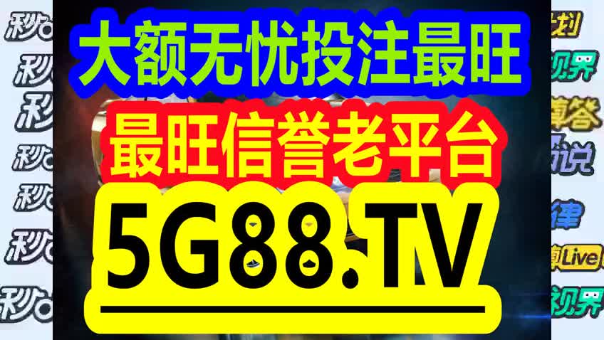 管家婆一码中一肖与耐久释义解释落实，探寻未来的奥秘与时间的价值