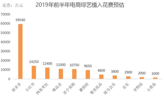 一码一肖，学者视角下的释义与落实策略深度解析