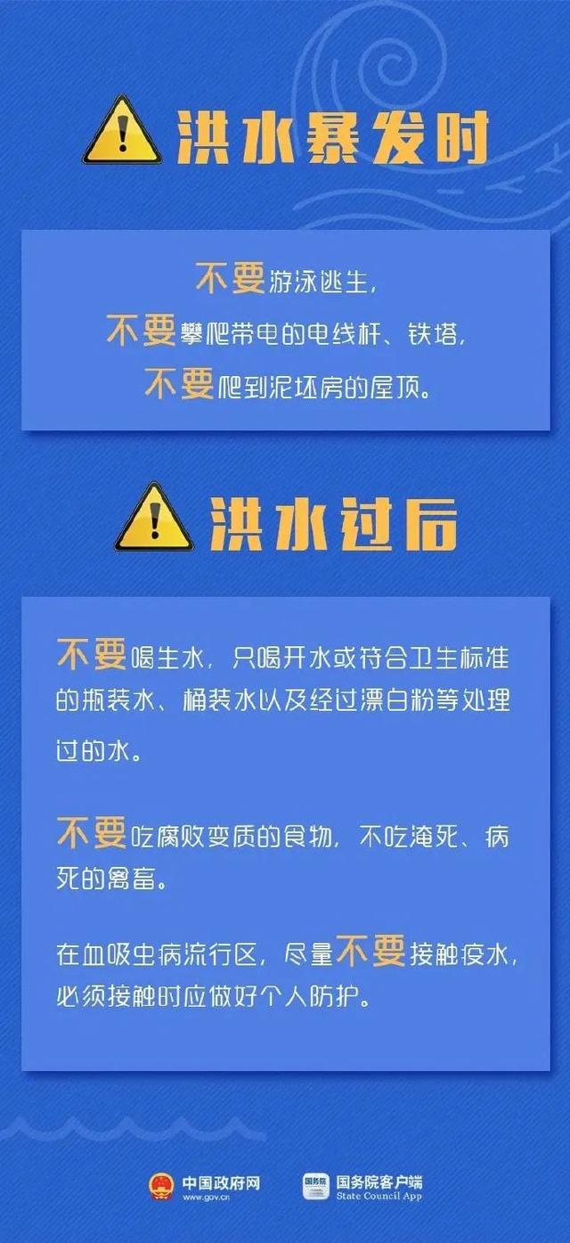 新澳2024今晚开奖资料四不像，完备释义解释与落实