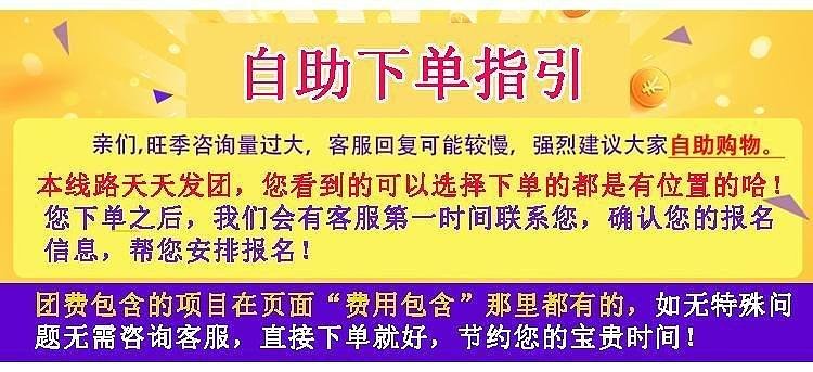 新澳门天天开好彩，探索背后的寓意与落实行动