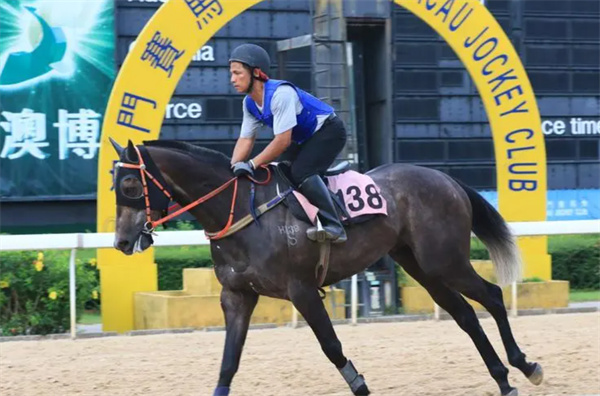 澳门特马今晚开奖138期，现状、释义、解释与落实