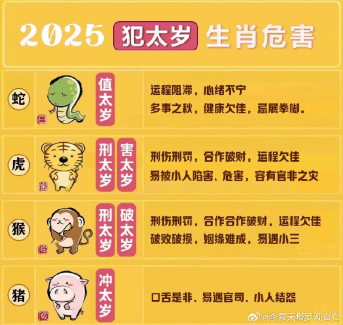 2025年十二生肖与49个码之损益释义，全面解读与落实策略