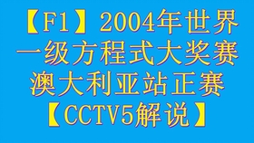 新澳2025今晚开奖资料四不像解析与释义落实