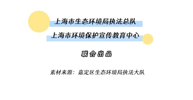 澳门一码一肖一恃一中354期，力策释义解释落实的探讨