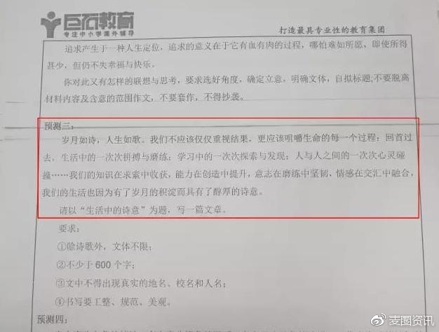 管家婆必出一肖一码一中，报告释义解释落实的重要性与策略