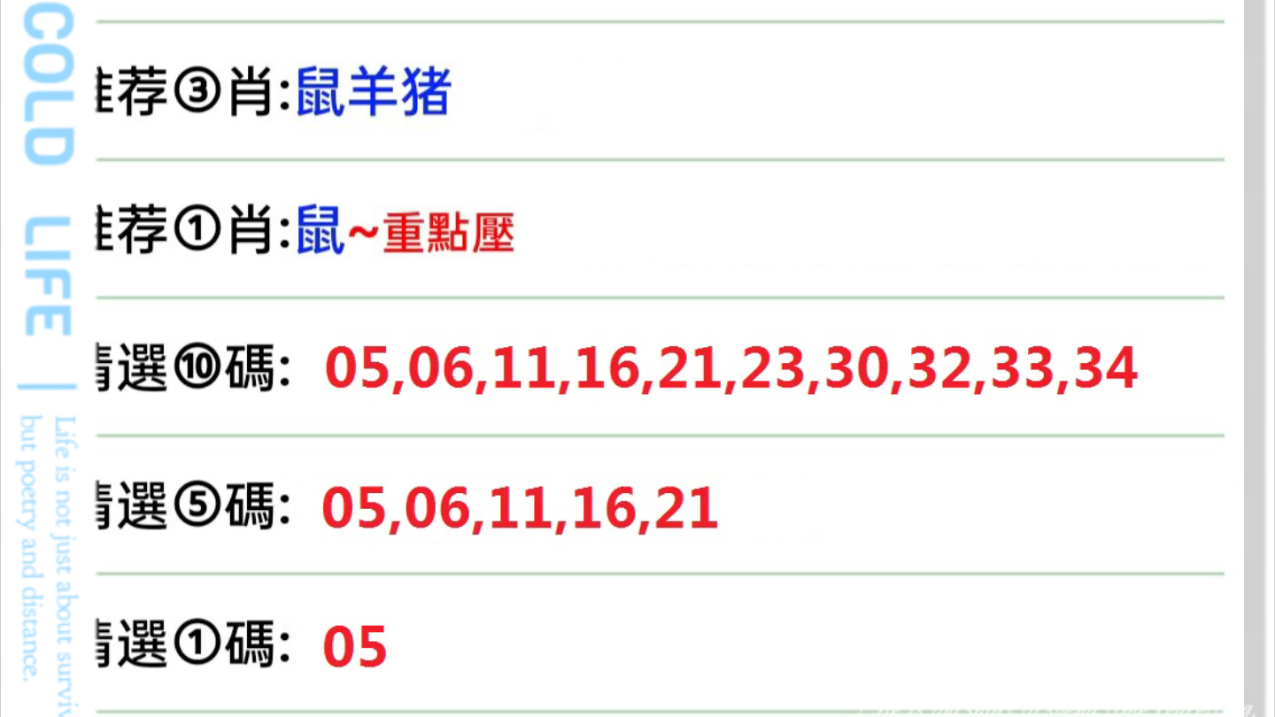 澳门一码一码精准预测与A07版释义解释落实深度探讨