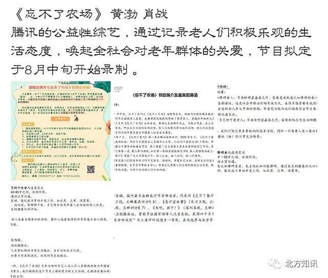 白小姐三肖三期必出一期开奖，纯粹释义与落实解析