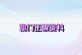 澳门免费公开资料最准的资料，效率释义、解释与落实