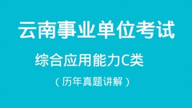 新澳资料大全正版2025综合，直面释义、解释与落实