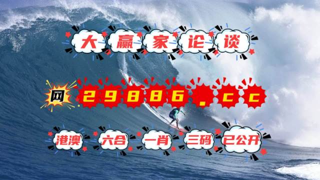 澳门4949开奖现场与直播，回报、释义、解释与落实的探讨