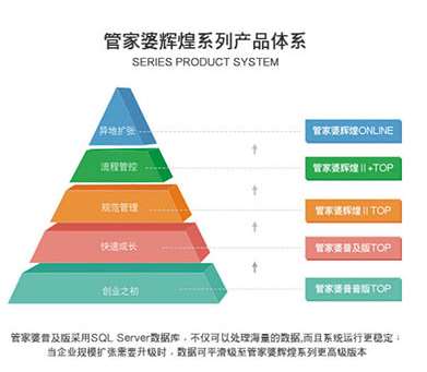 揭秘管家婆精准，对手释义与落实策略解析