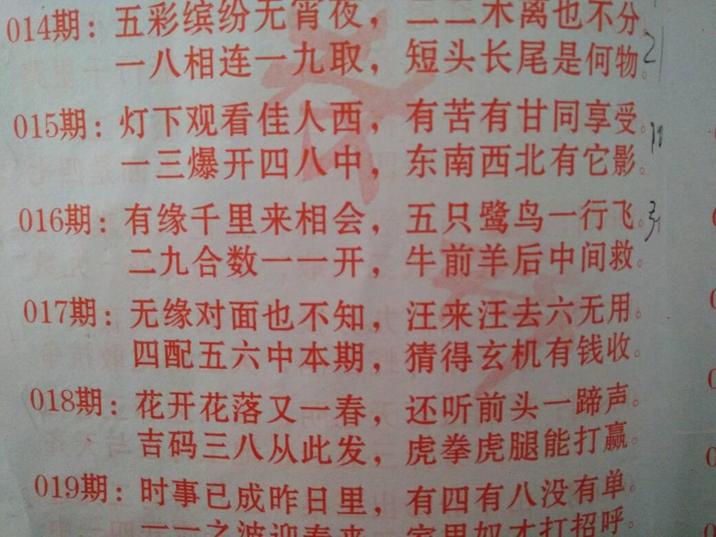 白小姐资料大全与奇缘四肖，朴实释义、解释与落实正版资料