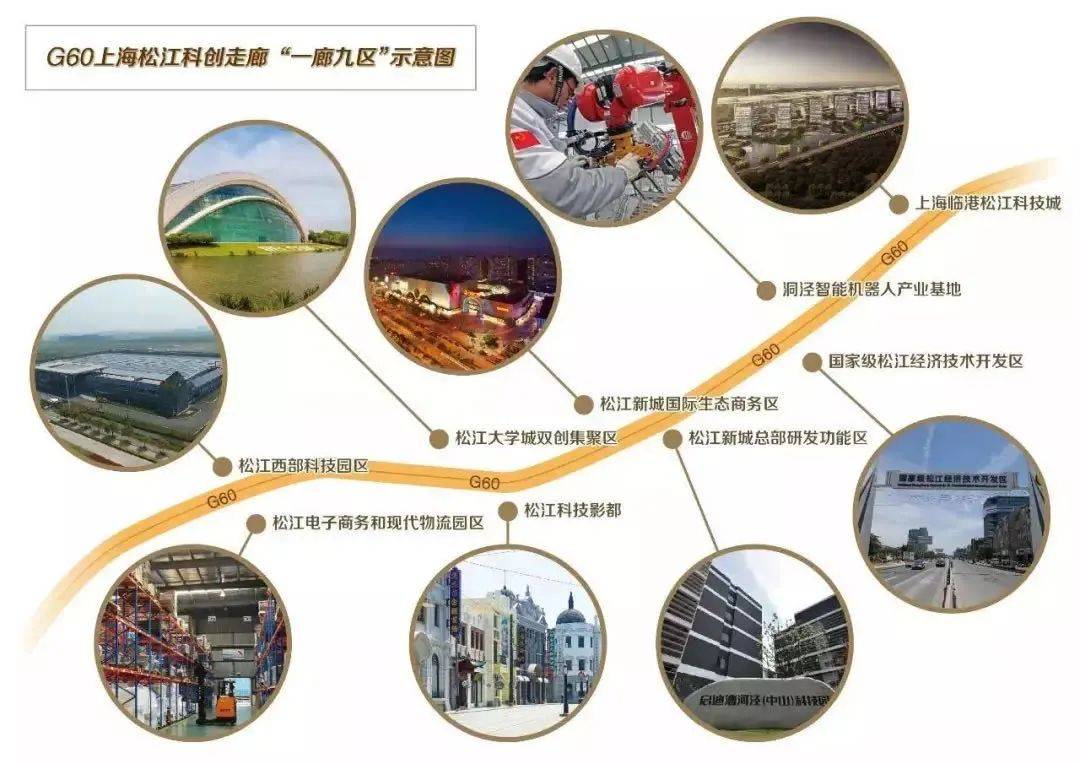 细微之处见真章，解读澳门正版挂牌与未来的新动向（2025展望）