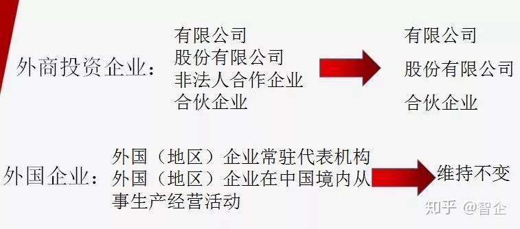 澳门免费最精准龙门，释义解释与落实展望