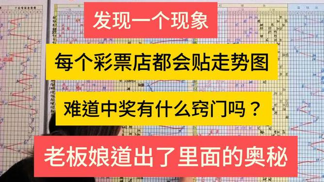 管家婆一码中奖，揭秘彩票背后的奥秘与接触释义解释落实的重要性