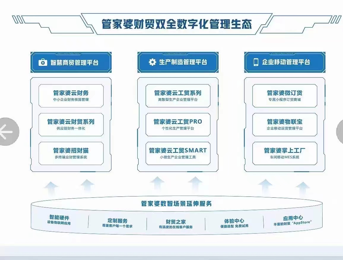 探索未来，2025年正版管家婆最新版本的方案释义与实施策略