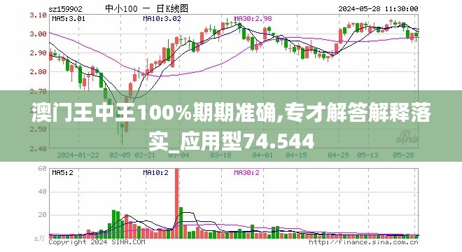 新澳门王中王期期中与深奥释义的落实解释