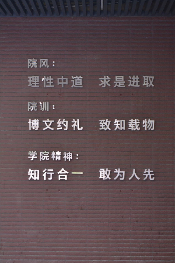 关于天天彩与明亮释义的探讨，免费资料与落实行动的重要性