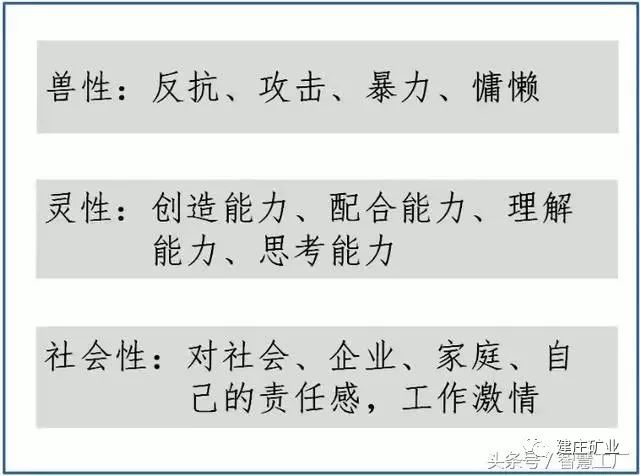 今晚澳门特马开什么？今晚四不像的裁定释义解释落实