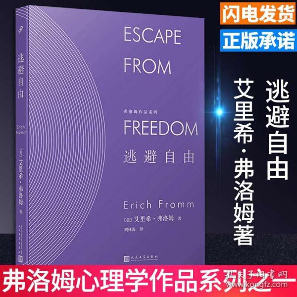 新澳正版资料免费提供，探索释义、解释与落实