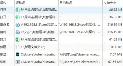 揭秘王中王开奖历史记录网，跨科释义与落实探究