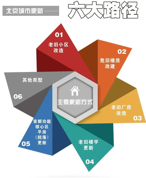 新澳今晚资料解析与落实行动策略