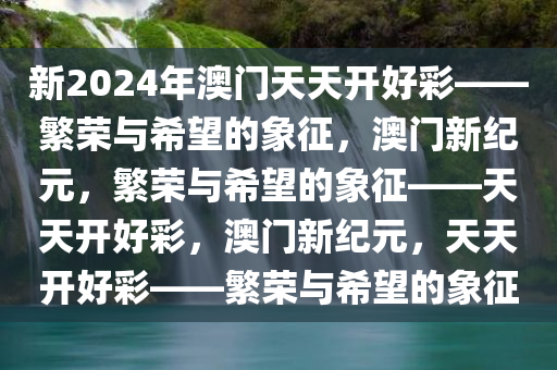 新溪门天天开彩，后学释义解释落实的展望