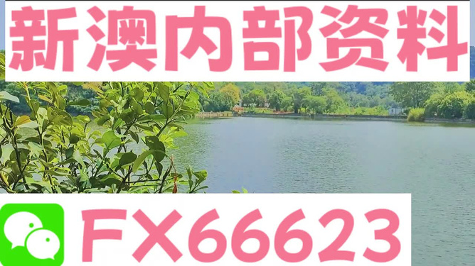 新澳精准资料大全免费，再造释义、解释与落实