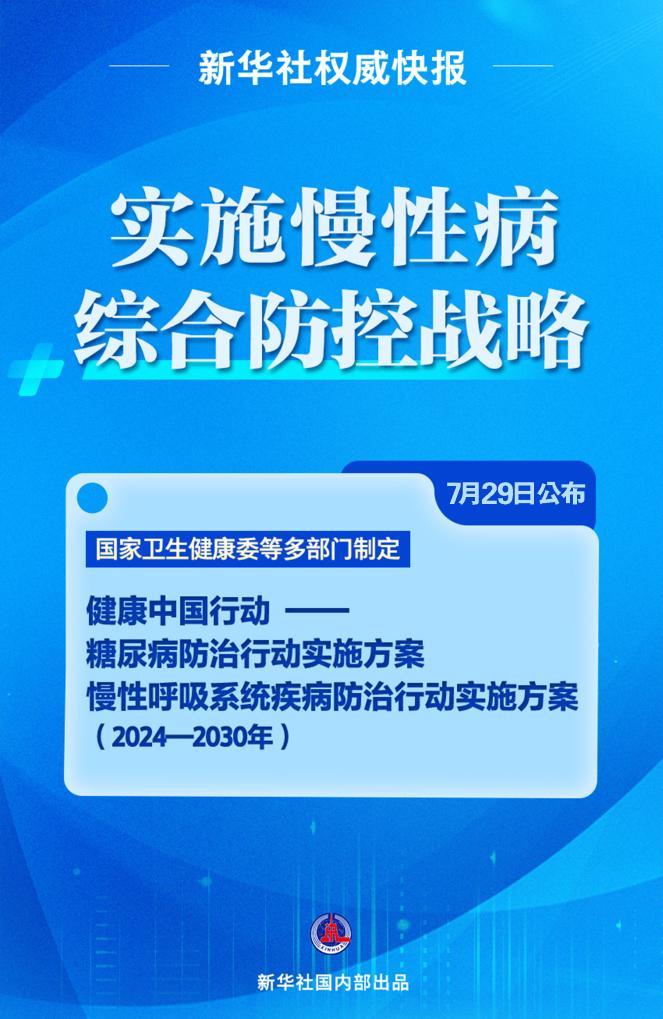 精准管家婆，人力释义、解释与落实策略