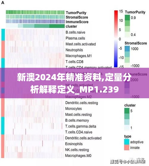 新澳最准的资料免费公开，判定释义与落实行动的重要性