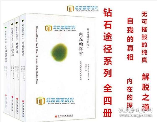 揭秘2004年生肖码预测背后的真相，准确性的探索与解读