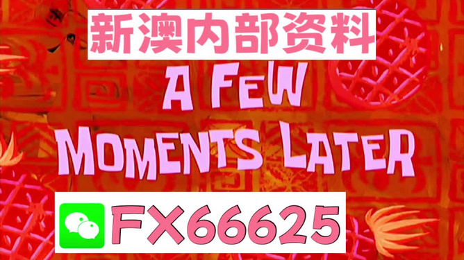 新澳内部一码精准公开，化实释义、解释与落实