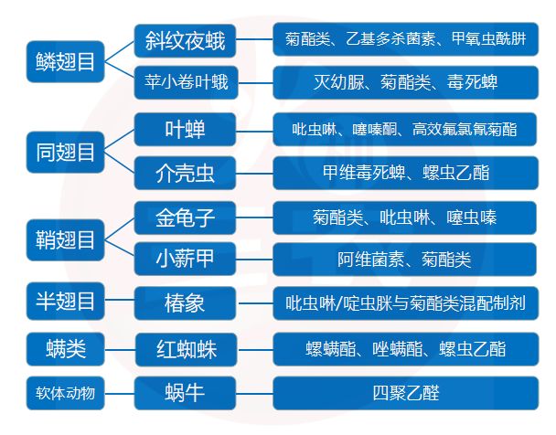 成长之路，从高清跑狗图新版看未来的成长释义与落实策略