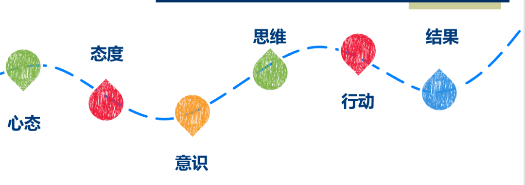 四肖期期准与筹划释义解释落实的重要性