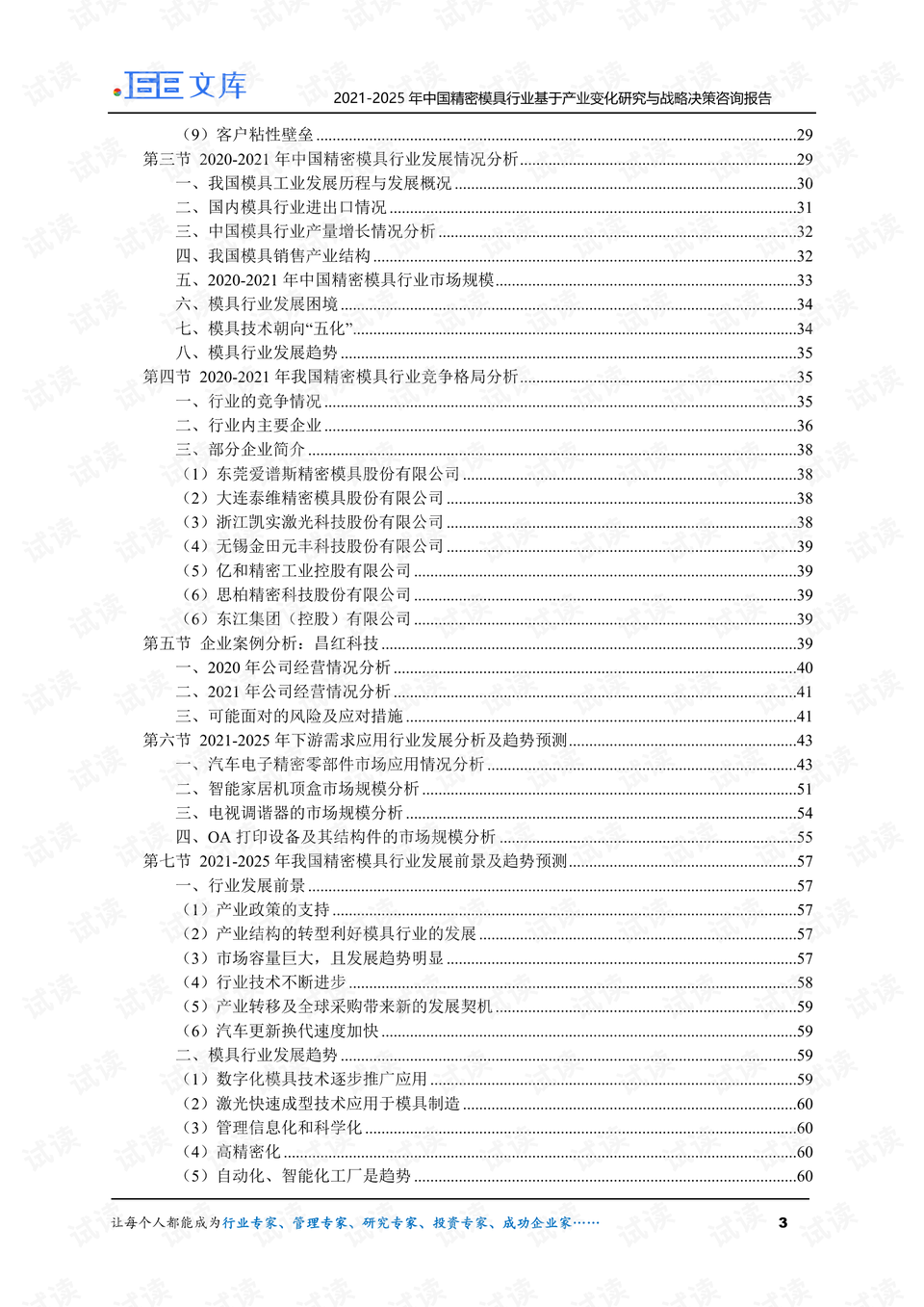 2025年正版四不像图，精妙释义与有效落实