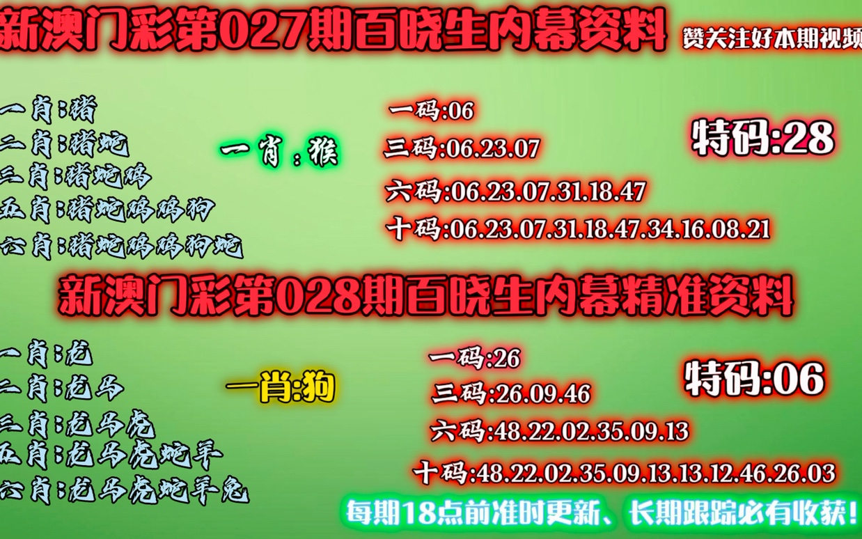 澳门精准一肖一码释义解释与落实策略探讨