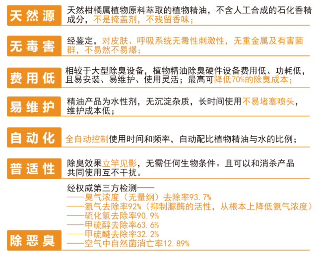 探索未来，新澳精准正版资料的免费共享与架构释义的落实之旅