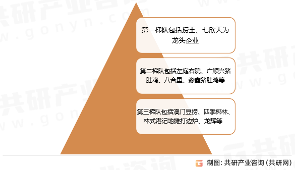 澳门王中王100的资料论坛，深度解析与释义执行