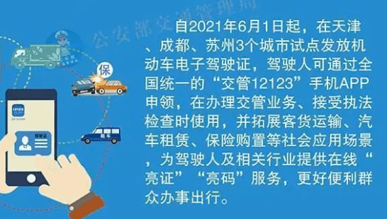 2025年正版免费天天开彩，区域释义解释落实策略与实施洞察